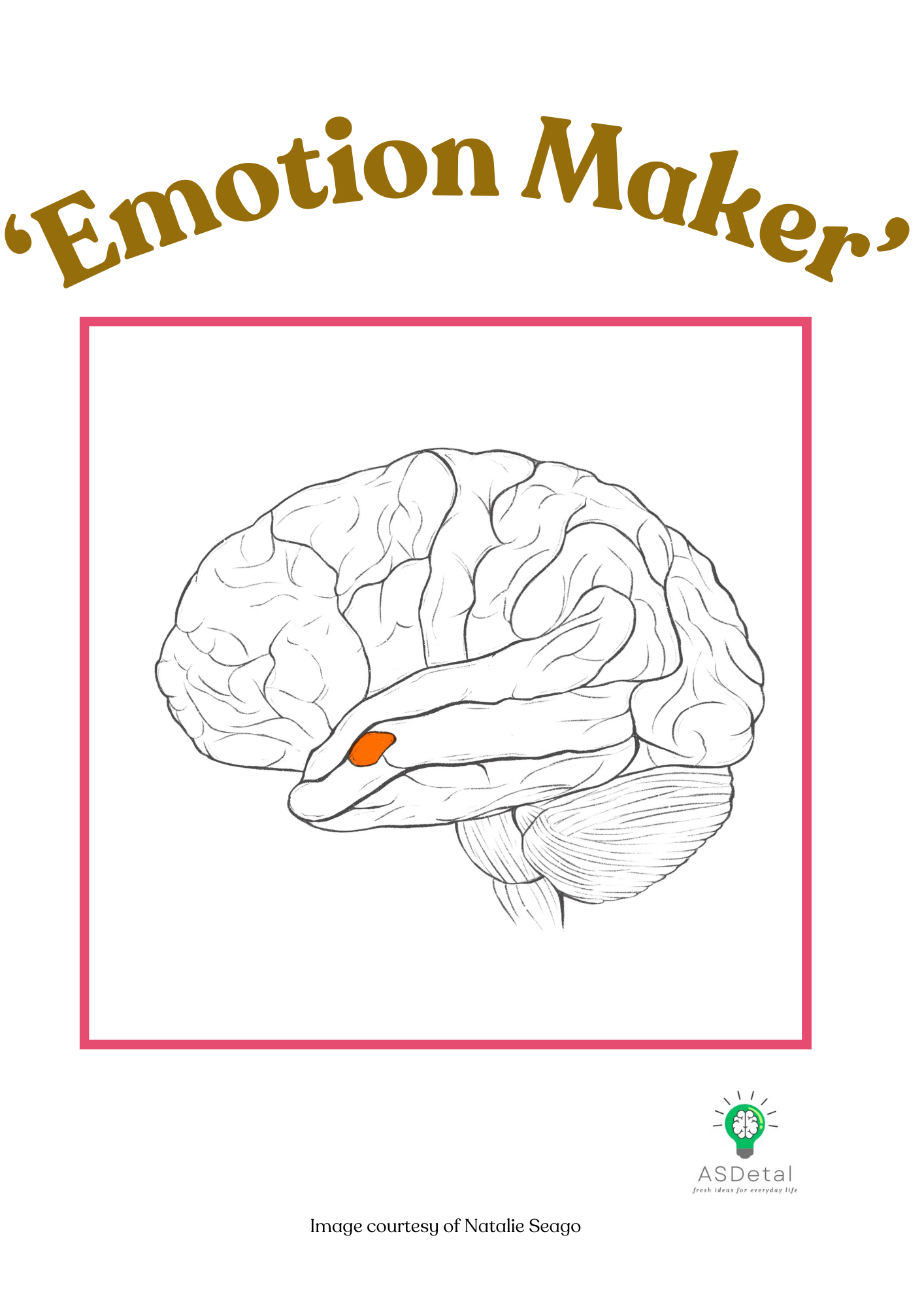 brain emotion maker brain emotion maker